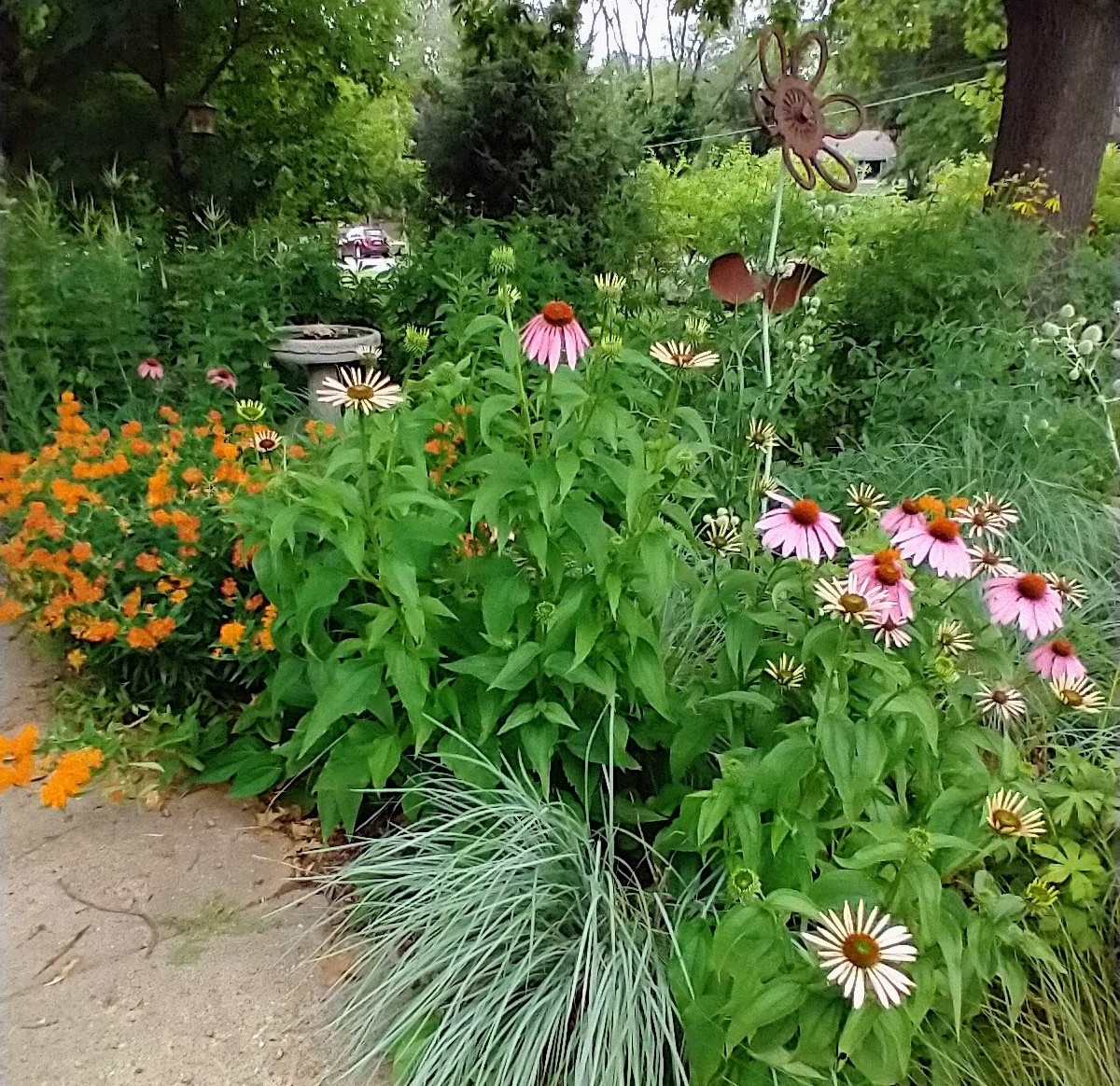 Seasonal Garden Talk Gardening with Native Prairie Plants Des Moines